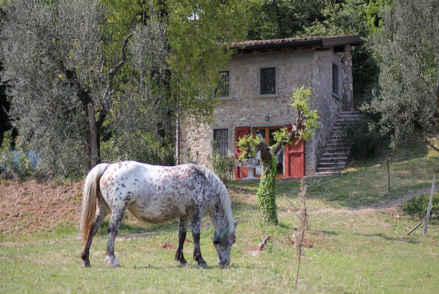 Das Appartment: Die K&uuml;che
